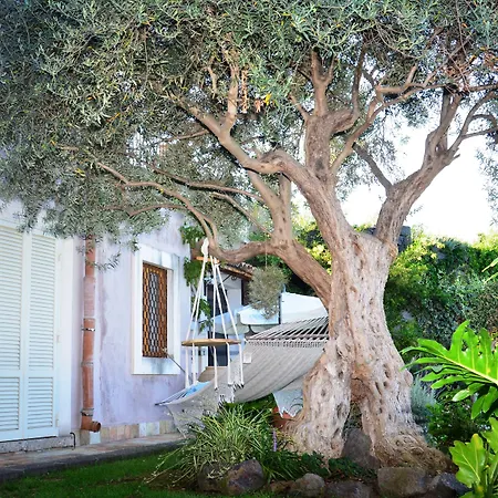 La Casa Del Panorama Bed and breakfast Valverde (Sicily)