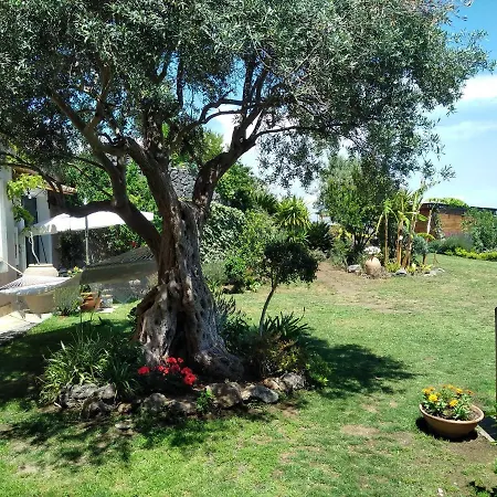 Bed & Breakfast La Casa Del Panorama Valverde (Sicily)