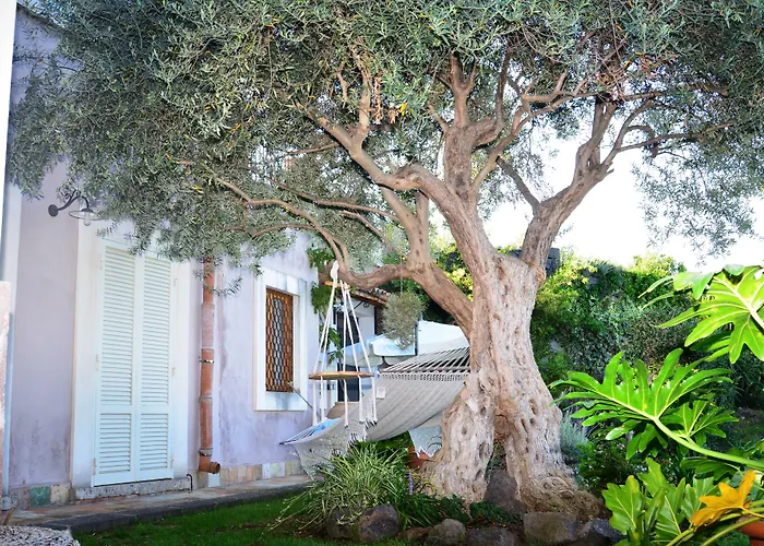 La Casa Del Panorama Couette-café Valverde (Sicily)